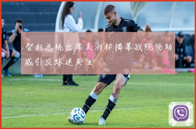 智利总统出席美洲杯揭幕战现场助威引发球迷关注